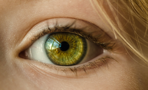 image of an eye