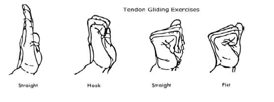 Image of four hands in different positions