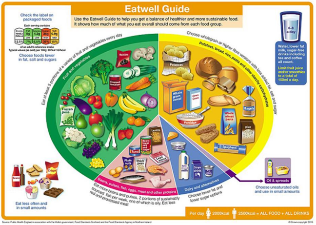 Image of a plate showing percentage of how much of what you eat overall.