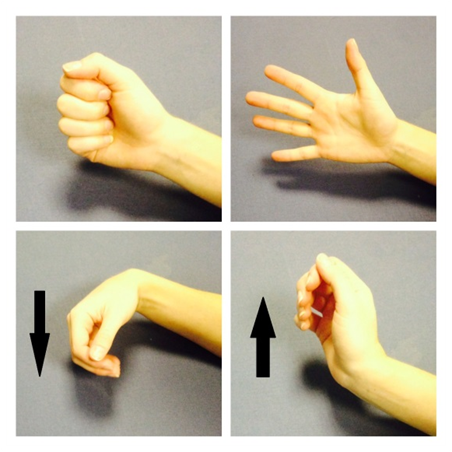 Four examples of hand exercises closed fist to open fingers and wrist flexed down and up