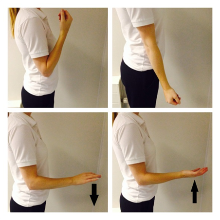 Four images showing arm bent at elbow hand to shoulder then straightened out, then at 90 degrees to floor palm of hand to floor, then palm of hand turned up to sky