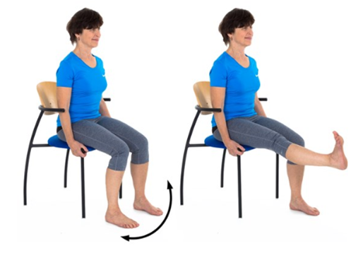 Person sat on chair edge lifting lower leg up and down to 90 degrees angle and back to floor