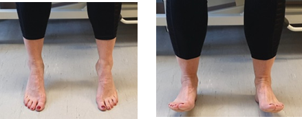 Raising heels and toes off floor