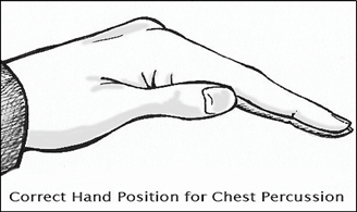 Diagram of slightly cupped hand