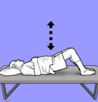 Image of person lay on back with head and shoulders flat on surface, knees bent and feet flat on floor, hips raised to sky. Arrow indicates movement of hips raising and lowering