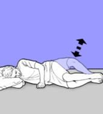 Person lay on side head supported by arm kneed bent. Top knee is raised and lowered. Arrow indicates movement
