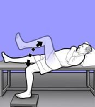Person lay with one leg over side of a bed. This leg is lifted and lowered. Hips stay still. Arrows indicate movement