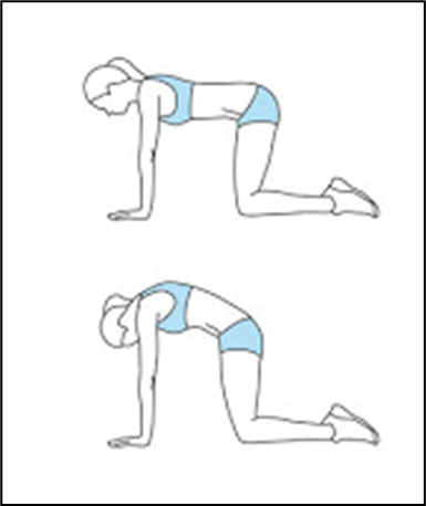 Person on all fours rounding back and returning to neutral flat back
