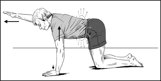 Person all fours with flat back one arm raised straight out in front. Arrow indicates movement or strength