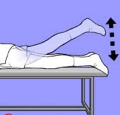 hips and legs flat on surface facing down then one straight leg is raised. Arrows indicate movement