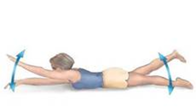 Person laying on front head and shoulders raised. Opposite arm and legs are raised and lowered. Arrows indicate movement
