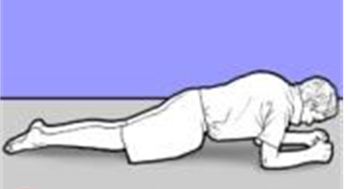 Person lying face down raised onto elbows which are below shoulders arms forward. Legs are straight like a plank. 