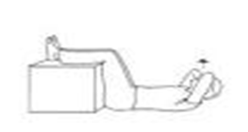 Person in sit up position with flat back on surface and legs raised onto a block or chair with bottom against block or chair head raises and lowers. Arrow indicates movement