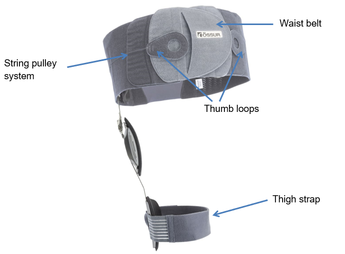 Image of hip abduction brace with individual parts 
Waist belt
String pulley system
Thumb loops
Thigh strap