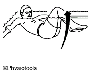 Person floating face up flat in corner of pool holding hand rails knees together with slight bend moving legs up and down. Arrow indicates movement