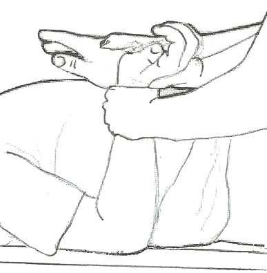 Diagram of a hand being gently pressed backwards and then forwards by a helper to stretch the wrist 