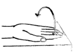 A diagram of a hand being turned palm up and palm down 