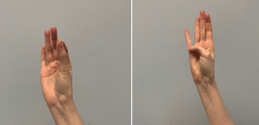 An image of a hand with thumb and forefinger touching in the okay sign and then a second image of the thumb stretching across hand to touch the finger crease of the little finger 