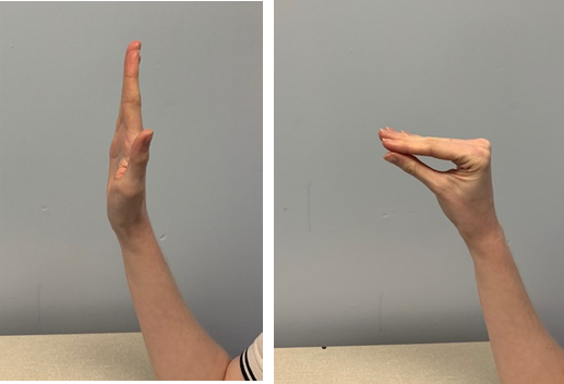 An image of a hand the fingers are held up straight. A second image shows the fingers bending at the main knuckle next to the palm, fingers are still straight and touching the thumb like a beak 