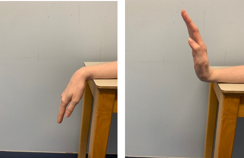 An image of a forearm resting on a table the wrist on the edge and the hand dangling over the side. A second image shows the hand extending upwards fingers straight bent at the wrist