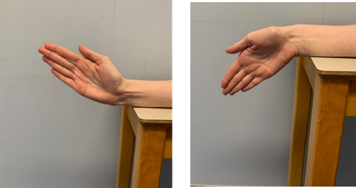 An image of a forearm resting on it's side on a table with the wrist at the edge of the table. Hand is off the edge of the table with the  thumb and fingers straight, hand is palm facing out and the hand is slightly tilted towards the sky. A second image shows the hand tilted slightly down to the floor