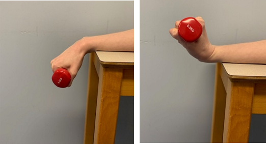 An image of a forearm resting on a table the wrist on the edge and hand is holding a small weight over the side, palm facing down. A second image shows the hand with weight moving up and down. 