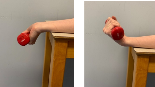 An image of a forearm resting on a table the wrist on the edge and hand is holding a small weight over the side, palm facing up. A second image shows the hand with weight moving up and down. 