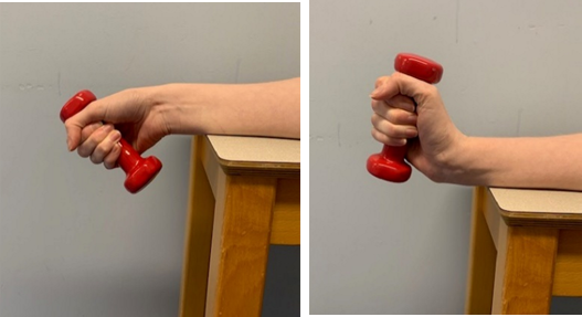 An image of a forearm resting on a table the wrist on the edge and hand is holding a small weight over the side, palm facing out. A second image shows the hand with weight moving up and down. 