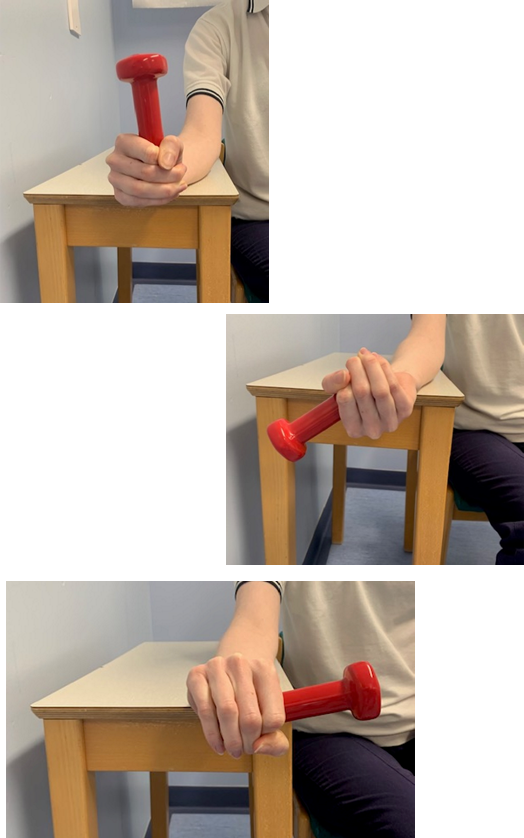 Image of hand holding the end of a small weight over the edge of a table in a fist. A second image shows the hand twisting to a fist facing up position 