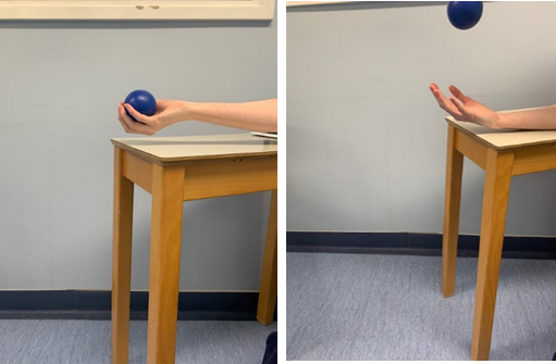 Image shows a hand face up gripping a small ball. A second image shows the ball being thrown up. 