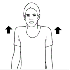 A diagram of an individual squeezing their shoulders up towards their ears. Arrows indicate the movement.