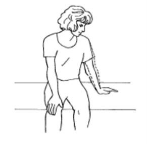 An diagram of an individual  bearing weight onto a straight arm and hand flat on a surface they are sat on 