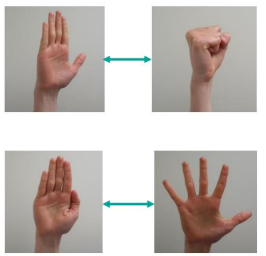 Images of finger exercises. Open and close fist. Stretch open and close fingers