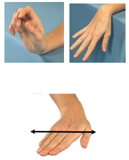 Image of arm rested on a table top with wrist at the edge so the hand can be moved up and down over edge 