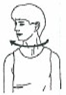 Diagram of person looking over their shoulder 