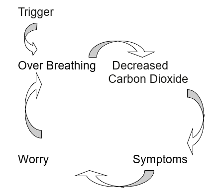 Diagram of arrows showing flow of breathing disorder
Trigger
Over breathing
Decreased carbon dioxide
Symptoms
Worry
Over breathing