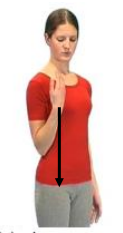 Image of person fully bending elbow with hand up to shoulder and then arm fully extended