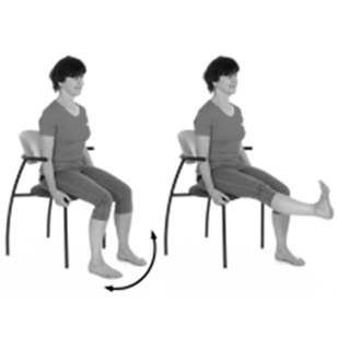 Person sat on chair straightening leg out in front with foot flexed toes to sky. Arrows indicate movement