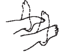 Diagram of feet being flexed up and down