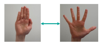 Images of finger exercises. Stretch open and close fingers