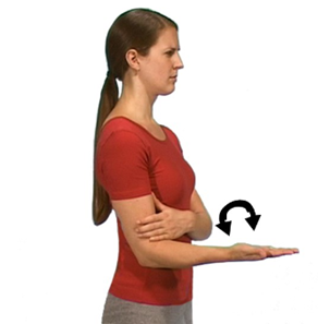 Image of arm bent at 45 degrees hand flat out in front of body. Arrow indicates rotating palm to floor and to ceiling