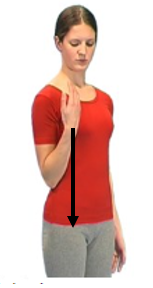 Image of person fully bending elbow with hand up to shoulder and then arm fully extended