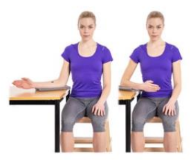 Image of person side on to table elbow to waist rotating elbow to turn arm out to side and in to body