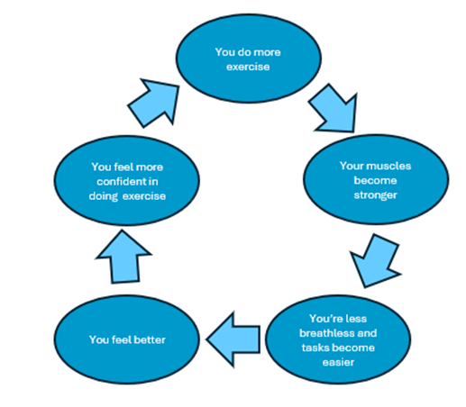 Circular flow diagram showing how the exercises improve breathing 
You do more exercise 
Your muscles become stronger
You're less breathless and task become easier
You feel better
You feel more confident doing exercise
You do more exercise 
And so on