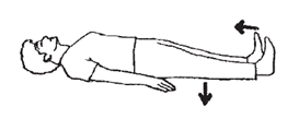 Person laying with both legs flat on the ground flexing toes to head and actively pressing back of knee into the ground