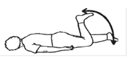 Person lay face down arms by side ear resting on floor bending one leg from knee up and down to 90 degrees