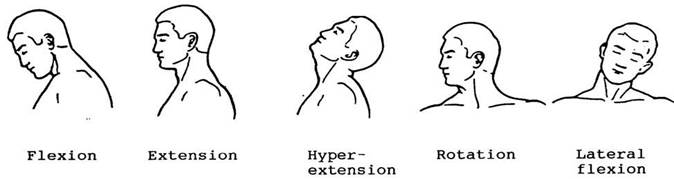 A diagram of neck exercises includinging head forward, head neutral, head back, looking over shoulder, and ear to shoulder