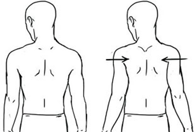 A diagram of a body back view and shoulder blades are being pulled together