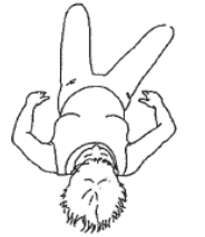 Person lay flat on back, head , knees bent, dropping one bent leg to side. 