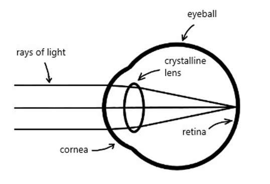 Picture of an eye with perfect focusing